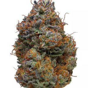 Buy Blackberry Kush strain in Mauritius