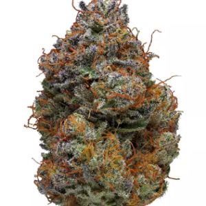 Buy-Blackberry-Kush-strain-in-Mauritius