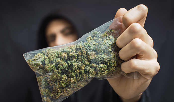 buy weed in mauritius