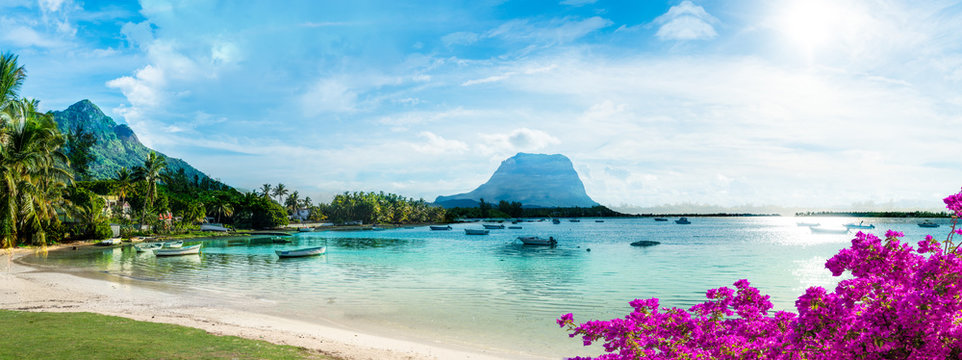 cannabis in mauritius